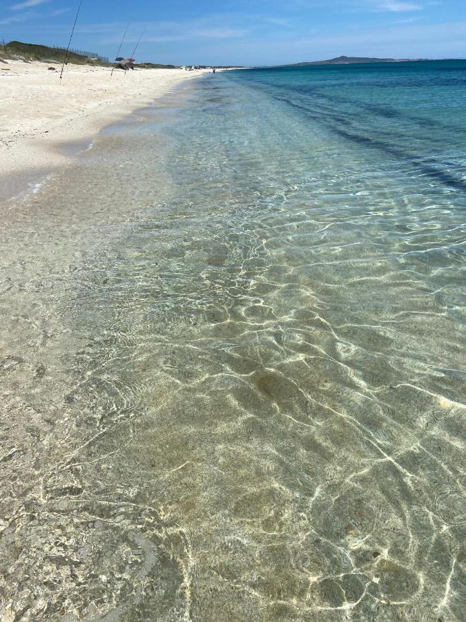 Siisa Appartamento La Muddizza Valledoria A 500 Mt Dal Mare Zewnętrze zdjęcie